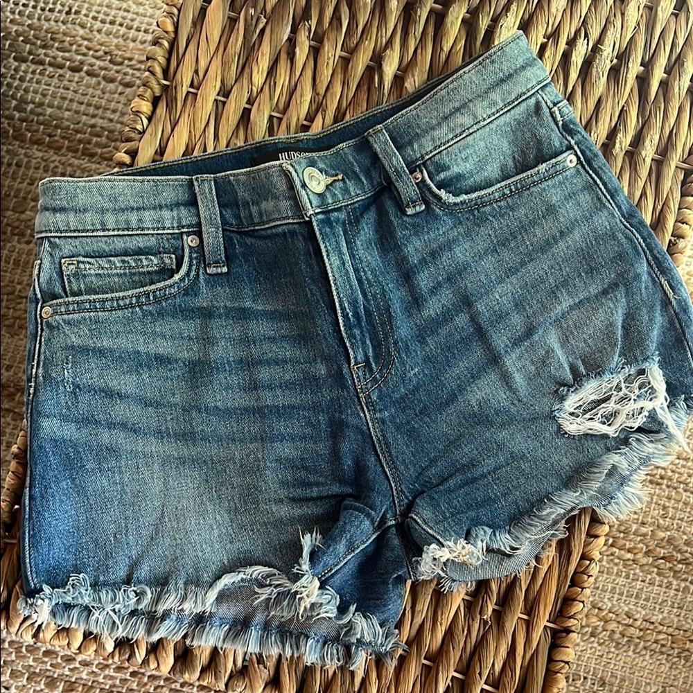 Hudson | “Gemma” Distressed Denim Highwaist Shorts
